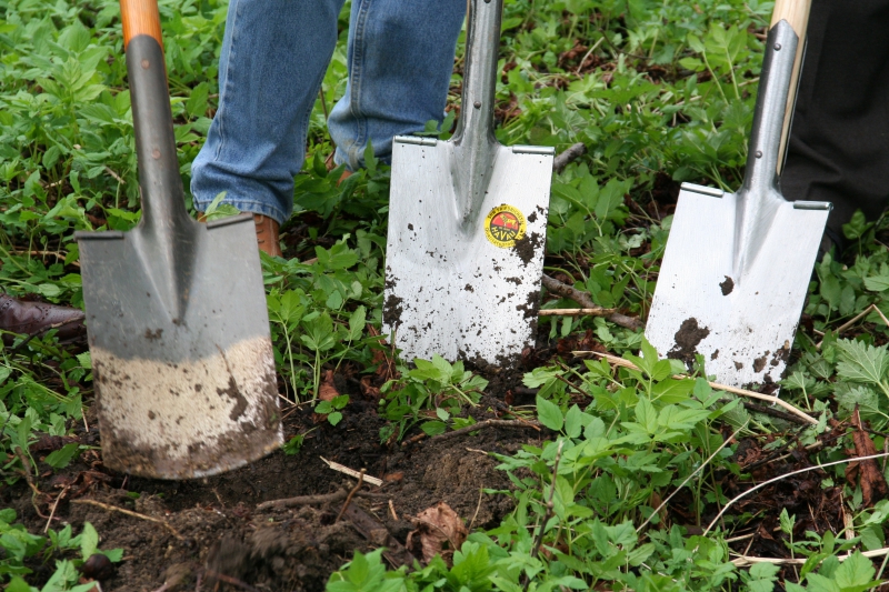 pepiniere-LIEUCHE-min_work-lawn-flower-tool-green-backyard-1103633-pxhere.com